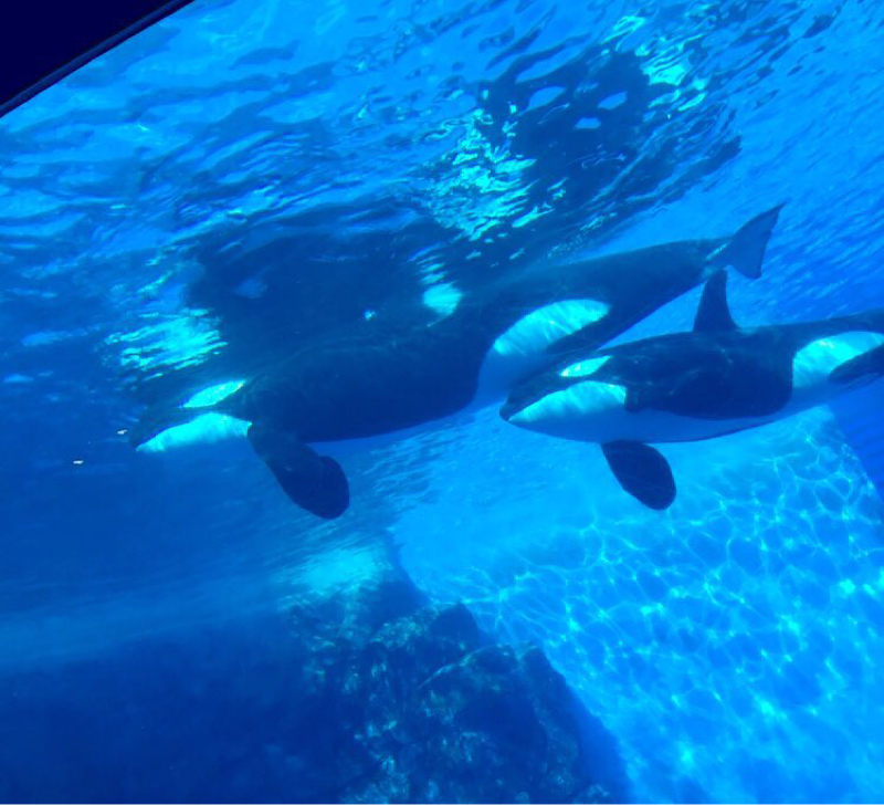 水について語るよ