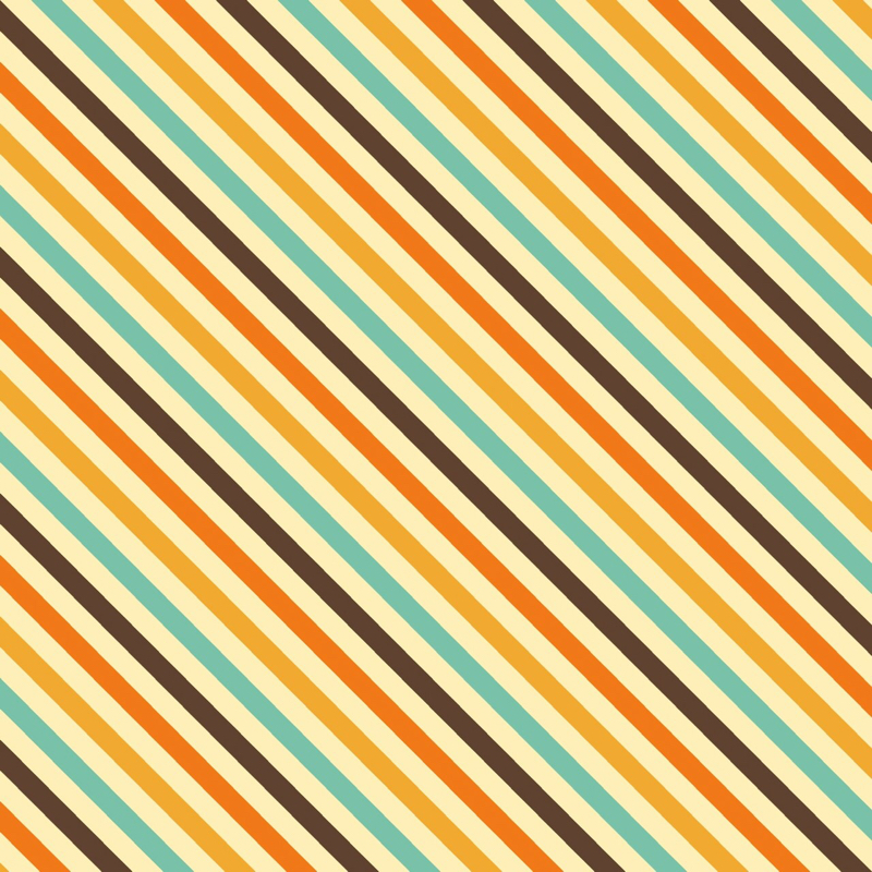 10.均される感情とバチェラージャパン