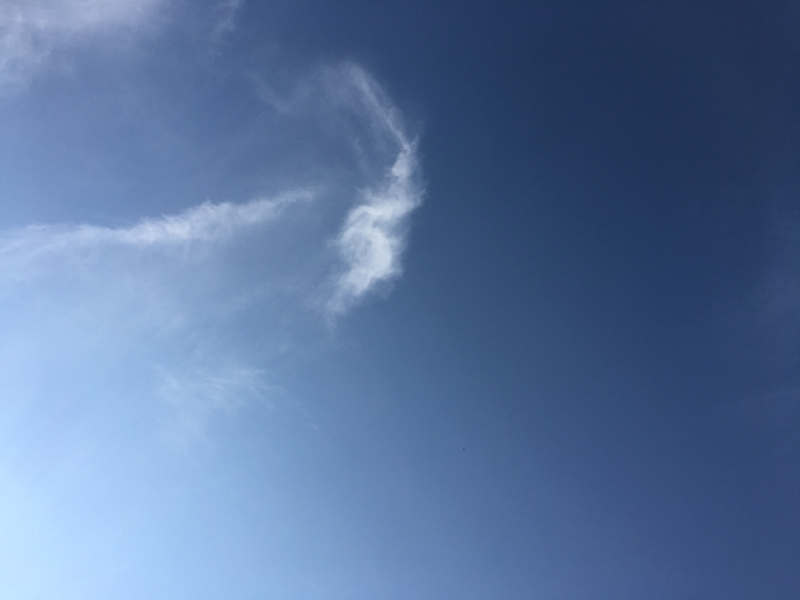 グリルスコーんの失敗