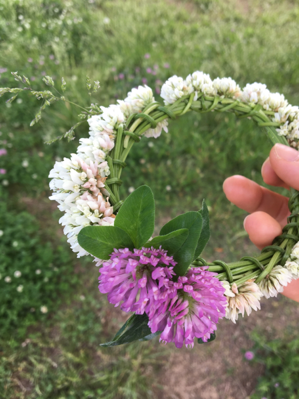 #8 じゆうにはなしたよ