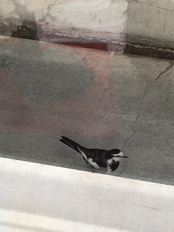 なるほどしたこと