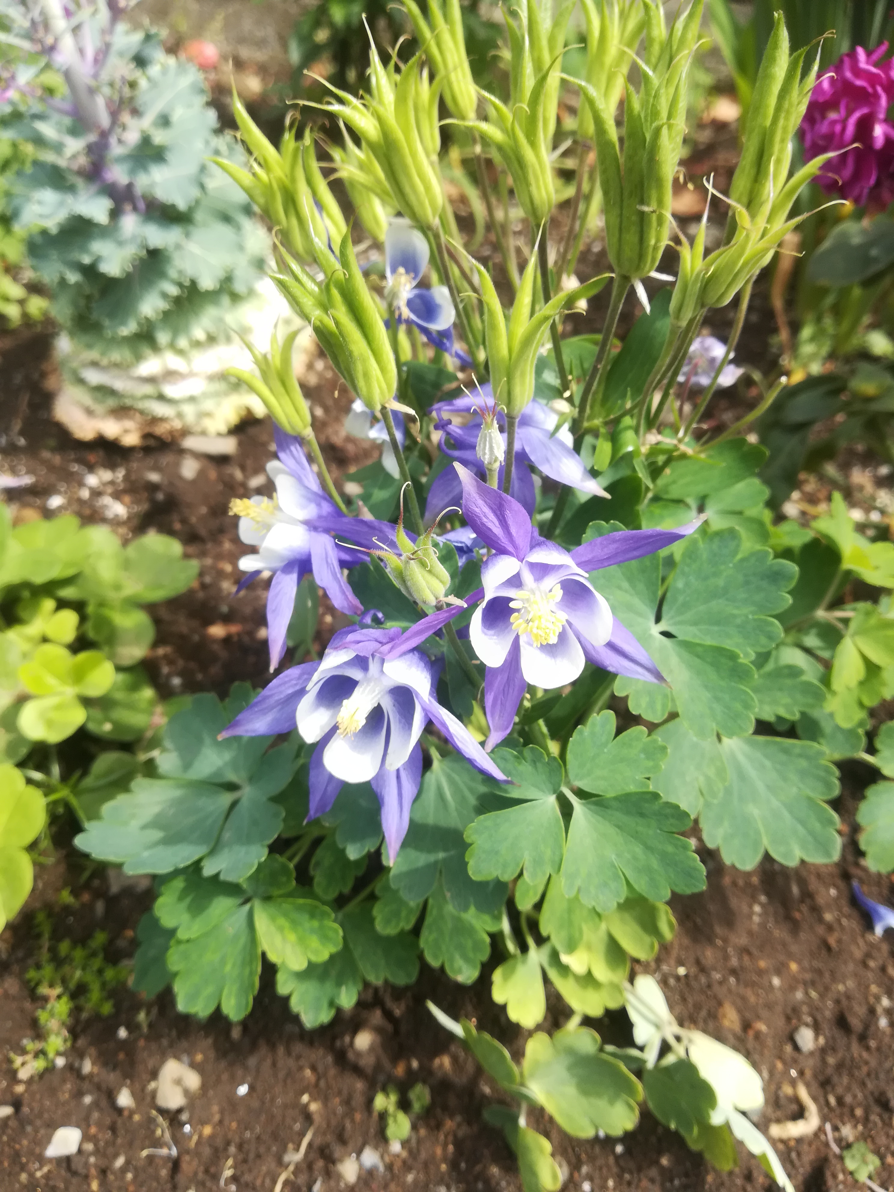 現代詩の面白さ