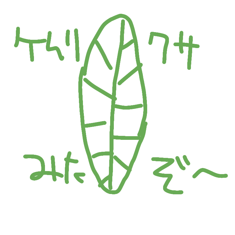 第2回ケムリクサ見た感想※途中からネタバレあり