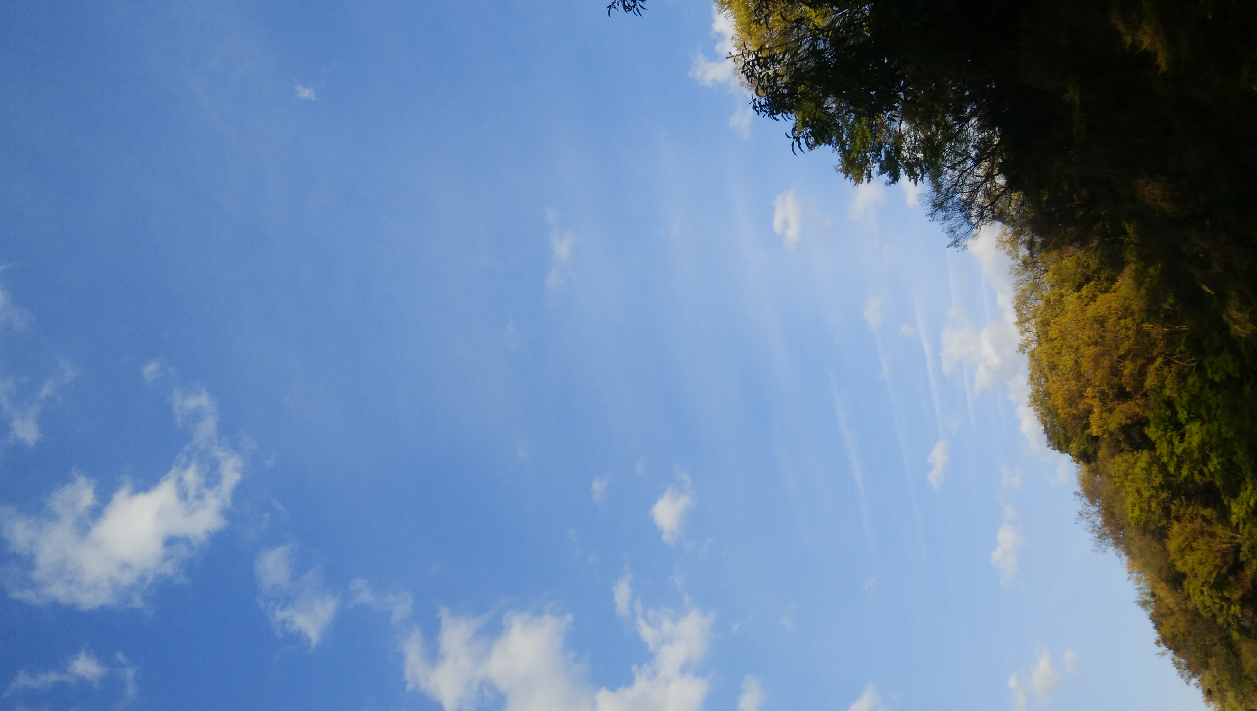 うつくしかろう、この世界