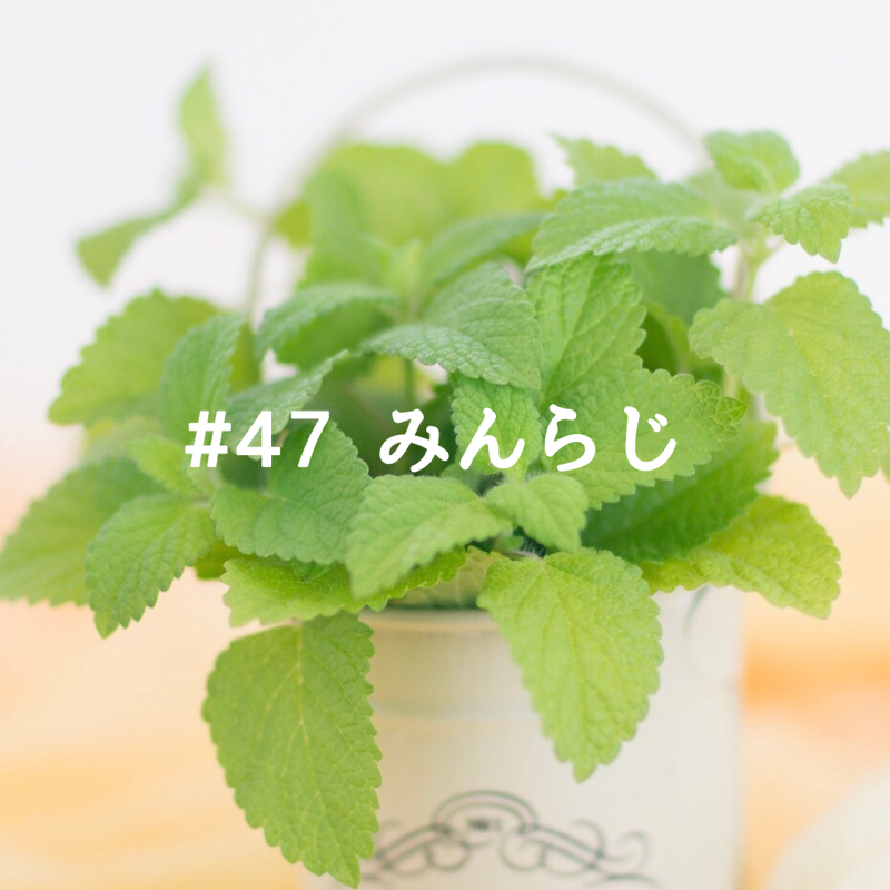 第47弾 みんらじ☆推しは食べ物だし酒なんだ〜!