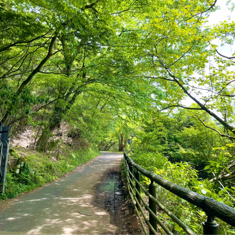 #59みんらじ☆箱根の山道を歩きながら喋る回