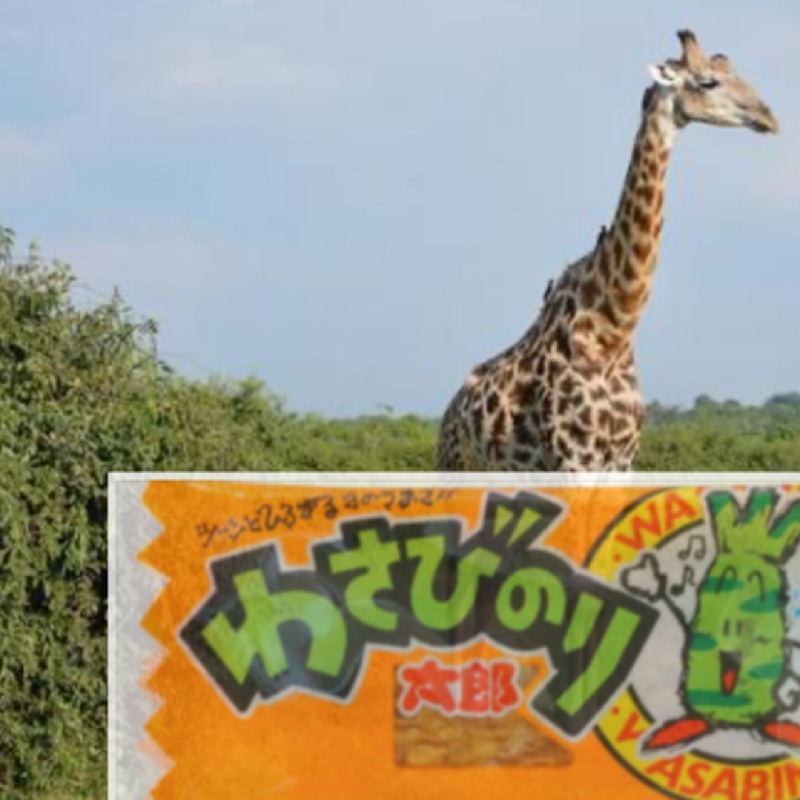 第320回　あふろだんぺ〜さんがケニアに行った話