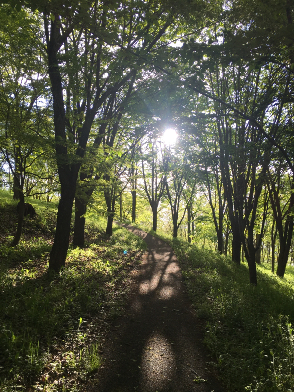 ソリラ通信①はじめまして☆新時代を担う仲間たちへ