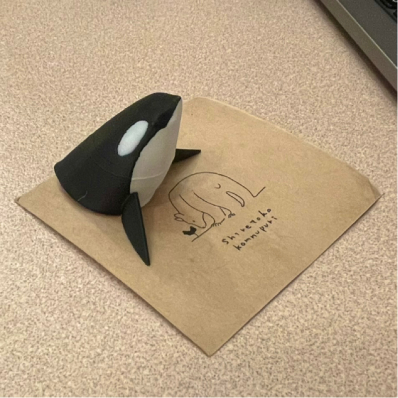 外です