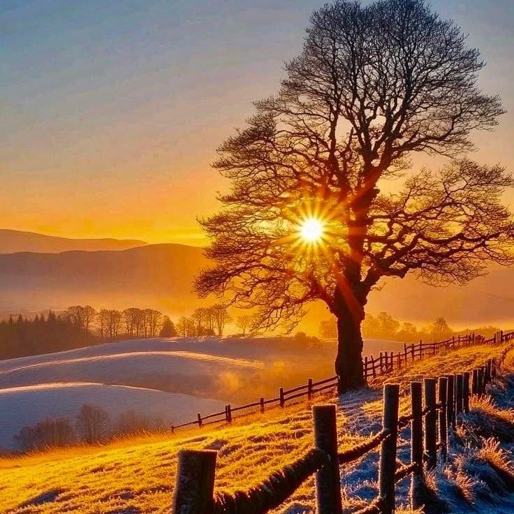 好きなことつながりのご縁