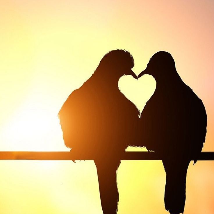 推しの番組のドルチェさんにレターでお礼返信