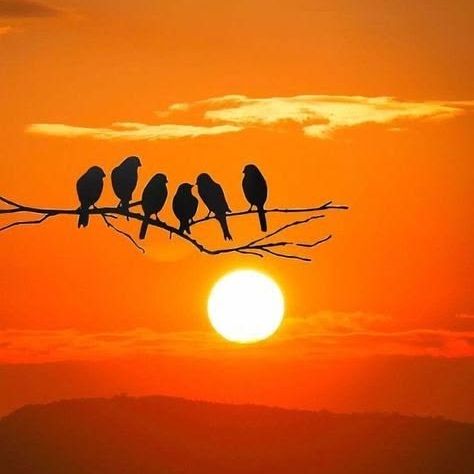 モテる部活動って何？