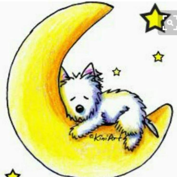 都会暮らしと田舎暮らしの必要性と利便性。