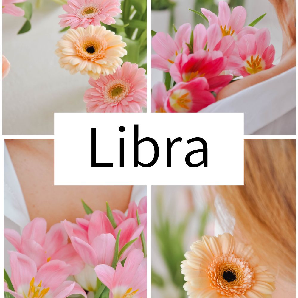 太陽星座月星座   天秤座様