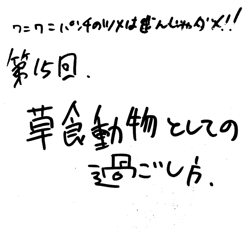 第15回 草食動物としての過ごし方