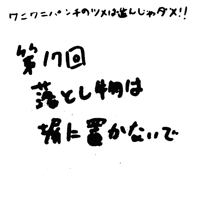 第17回 落し物は塀に置かないで