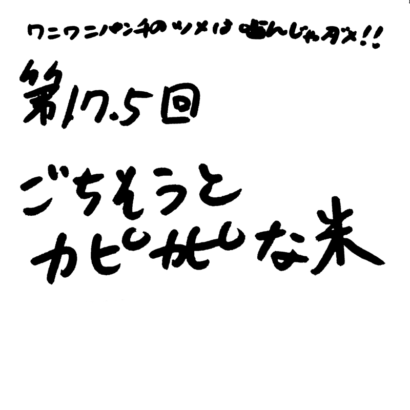 第17.5回 ごちそうとカピカピな米