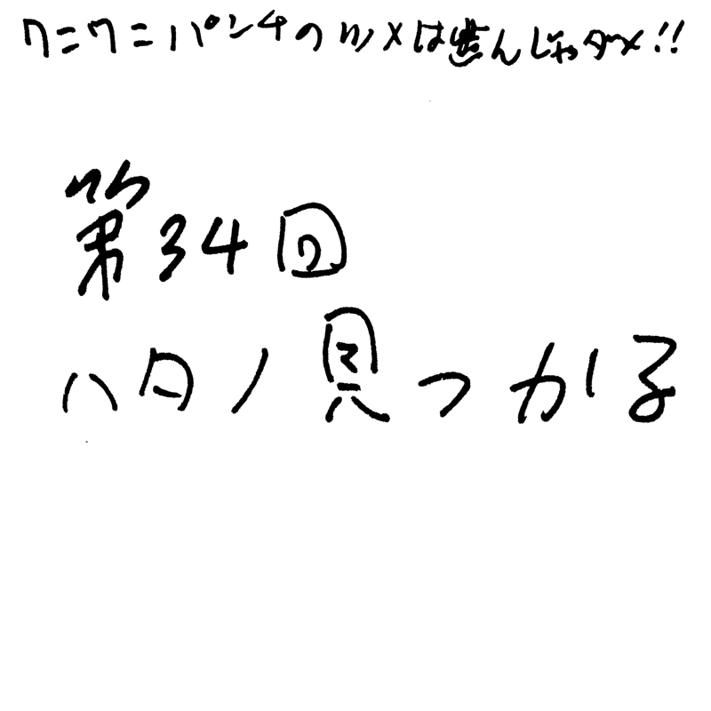 第34回 ハタノ見つかる