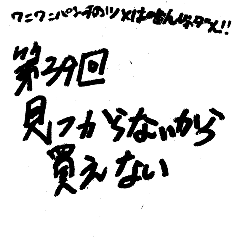 第39回 見つからないから買えない