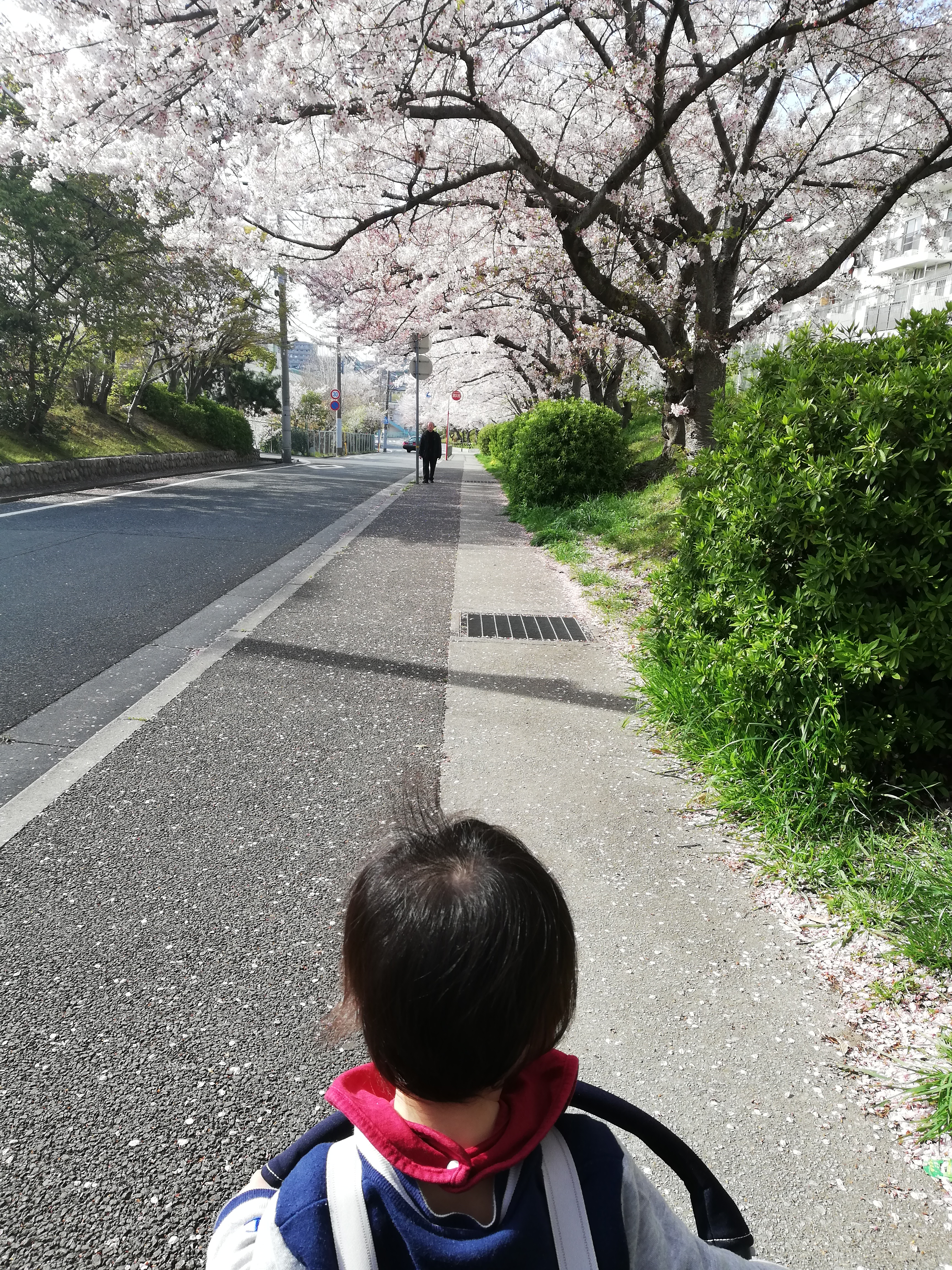 もんきち