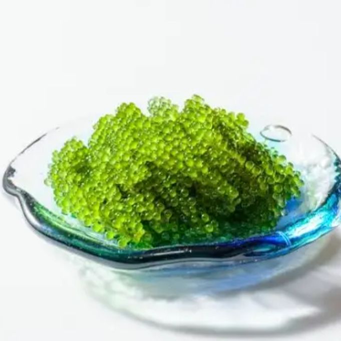 第7回　VXガスじゃないよ海ぶどうだよ