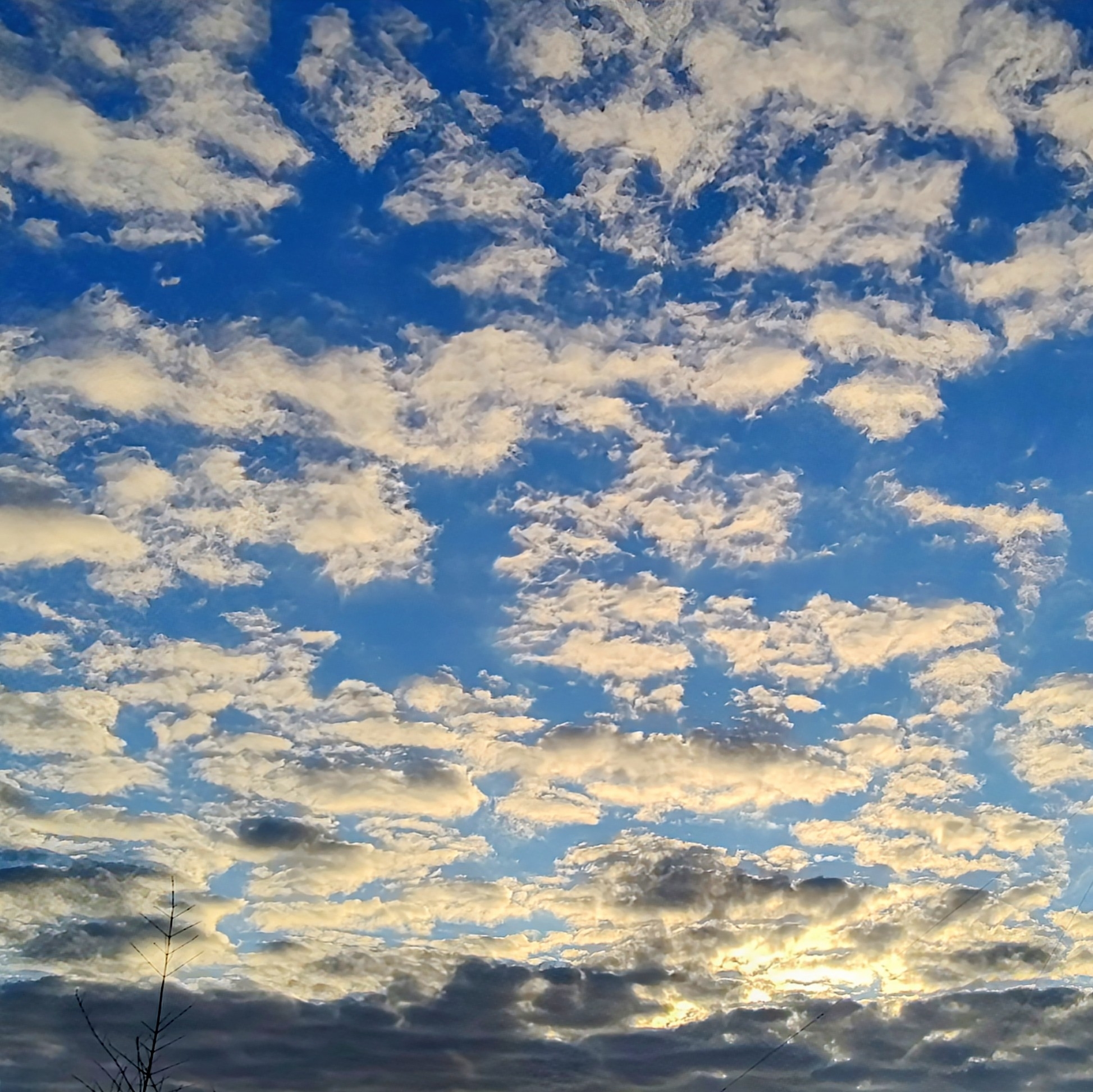 「歩いて帰ろう」