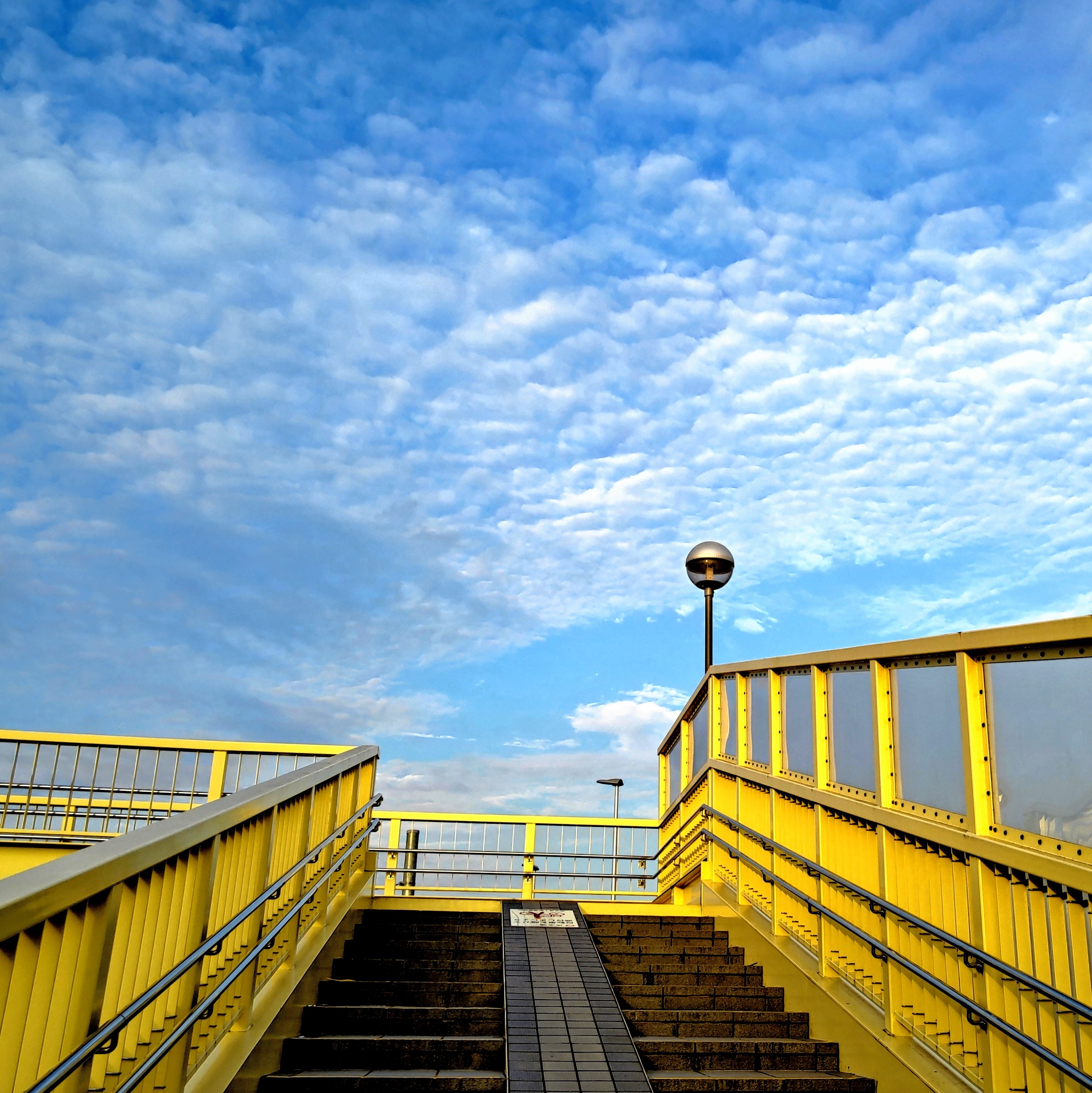「大空と大地の中で」