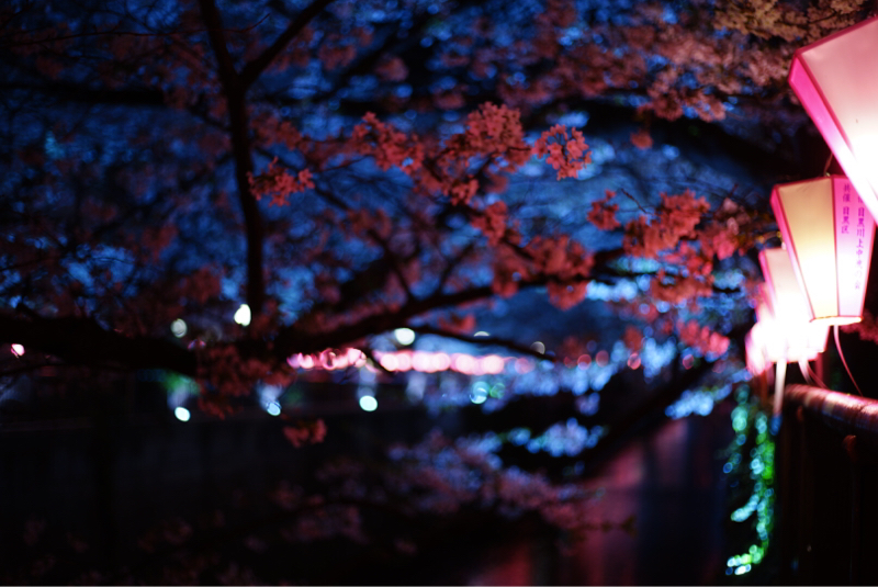 適当に服を語ってみたい普通の大学生