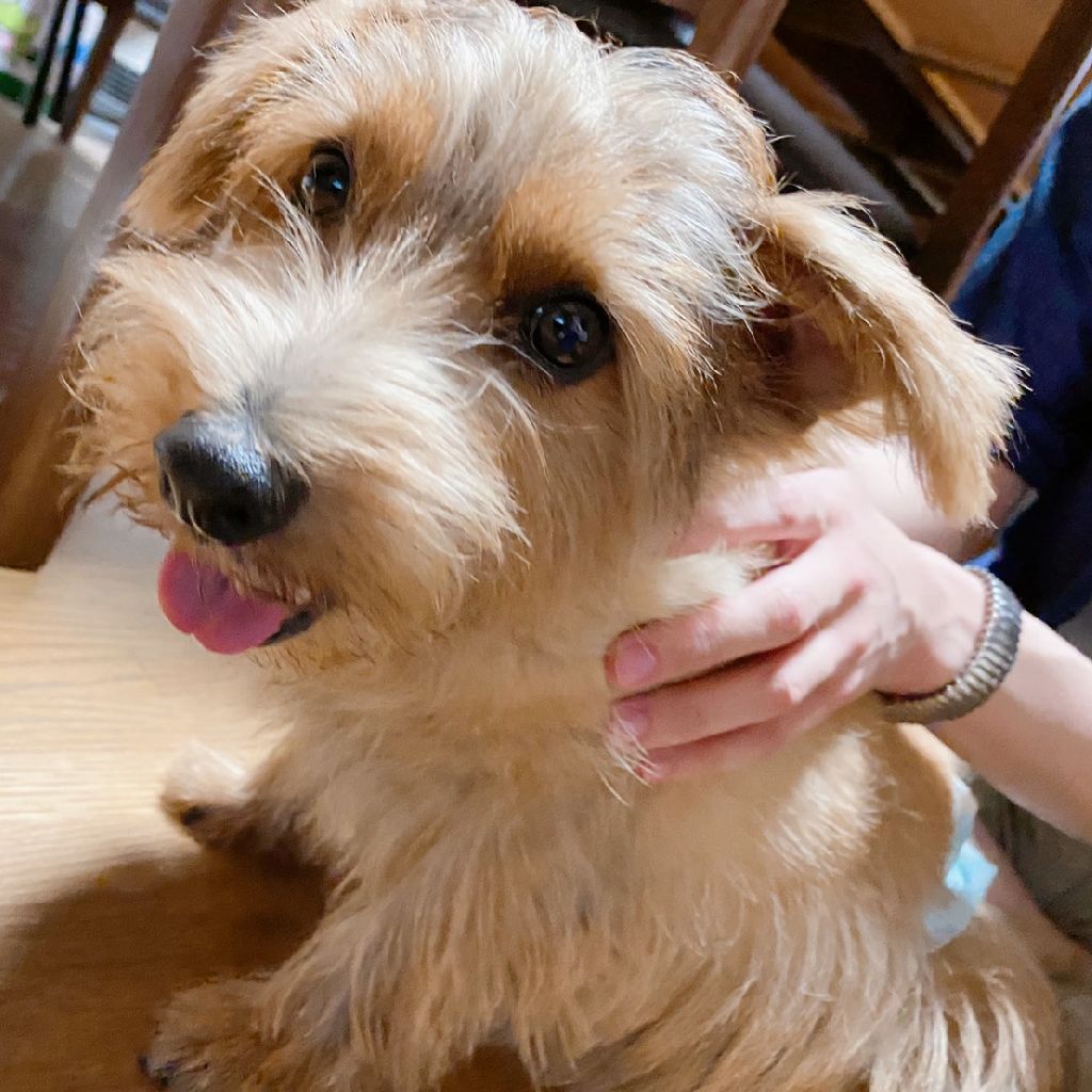 🐠兎々丸ニコン🐡