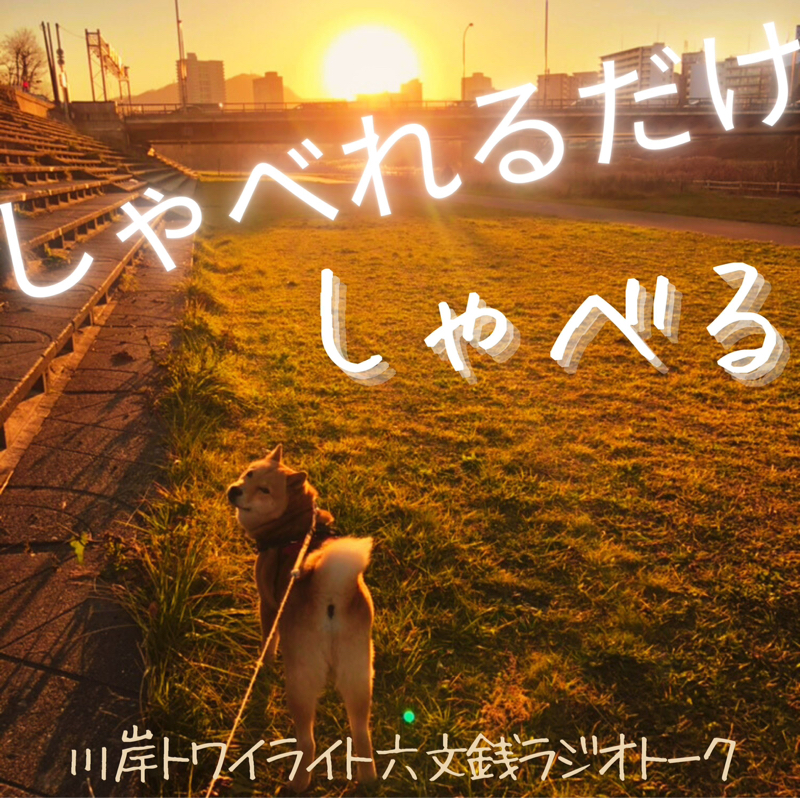 【しゃべれるだけしゃべる】#0207 脳を道具にするほど賢くもなく能もない脳が脳を道具にしてもねぇ話