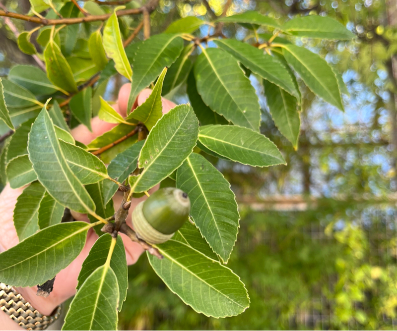 私の軸のひとつ💕10/31