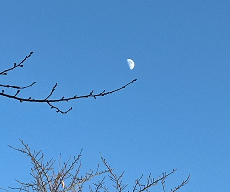 私は，自分を大切に扱います💕(11/29)