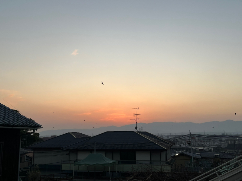 土曜日は美しい💕1/16