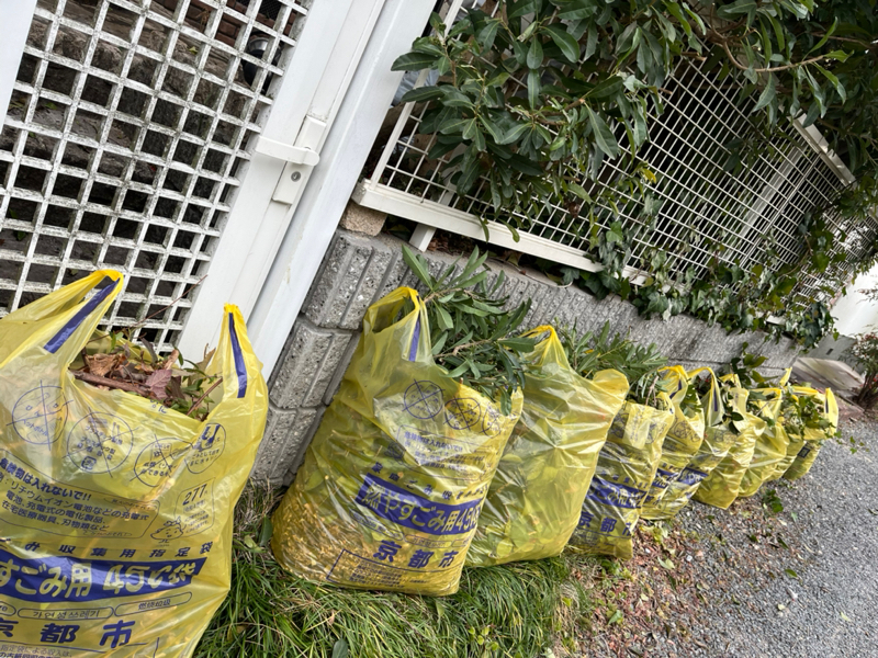 月曜日💕ありがとう💕1/26