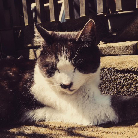 とものともとて