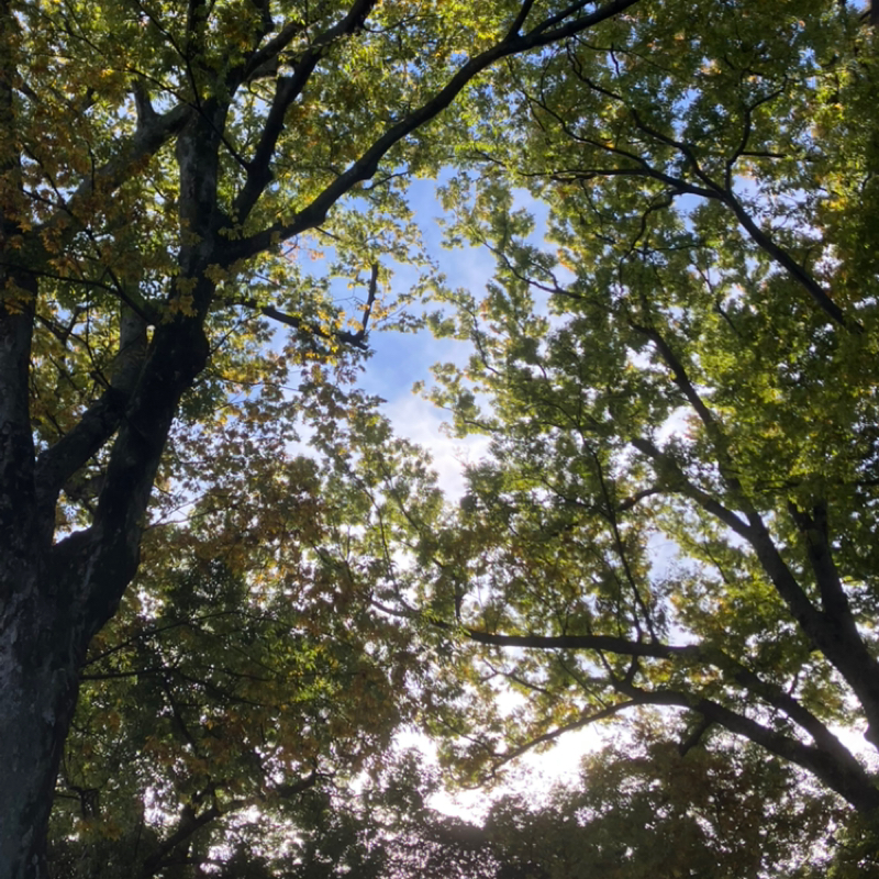 #440 適温にビビビ⚡️温度感は大切な要素かも👀