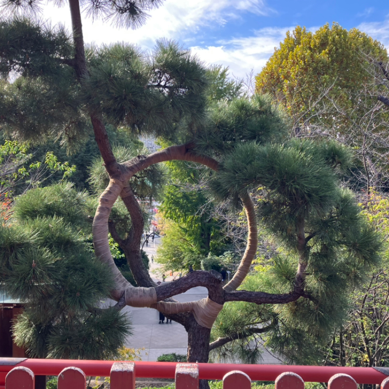 #450 江戸とつながる✨ゴッホ展の帰りにオススメ！