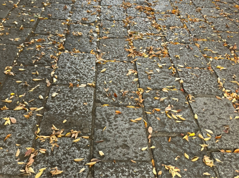 #454お百度参り、残り2週間👀　今のところ運動楽しいです🏃‍♀️