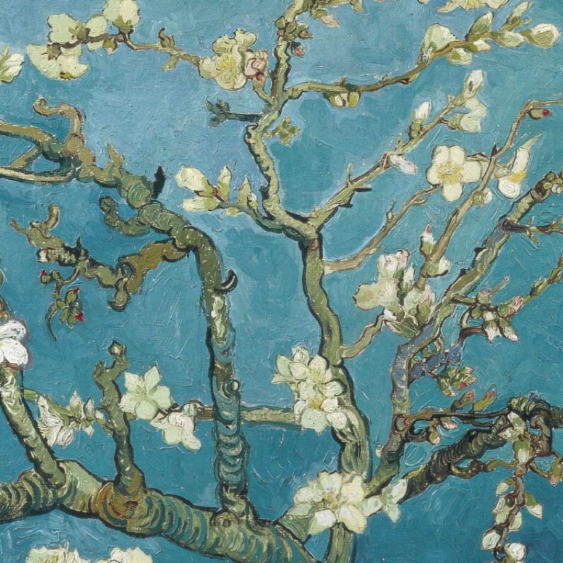 #458 来年の私のパワーワードはコレ！㊗️