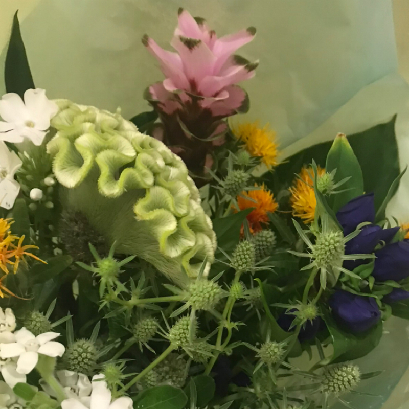 #478 話したいことを話して楽しい場に感謝💐いつも心に花束をいただいています💐