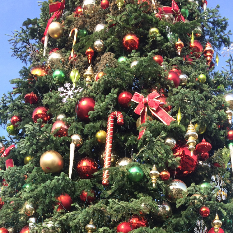 #482 楽しい街道を歩いている思うと楽しいが寄ってくる🎄