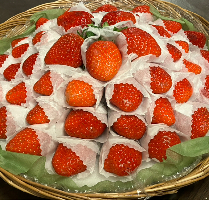 #486 久しぶりのnote📝ビビビの直感を活かしたい📱