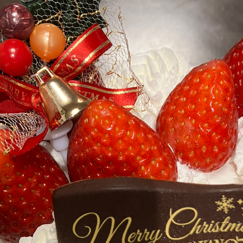 #490 ぐだぐだメリークリスマス🎄ムーンもね🌛