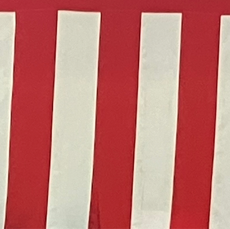 #508成人の日㊗️あの頃の私は、、、そしてこれから🚶