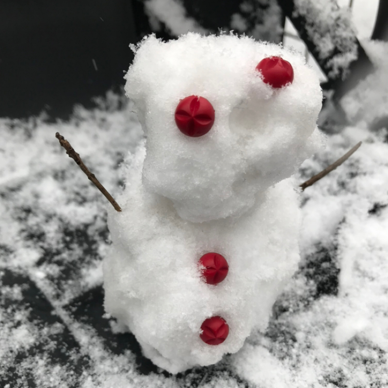 #536 雪の日⛄️選挙🗳️お鍋🍲