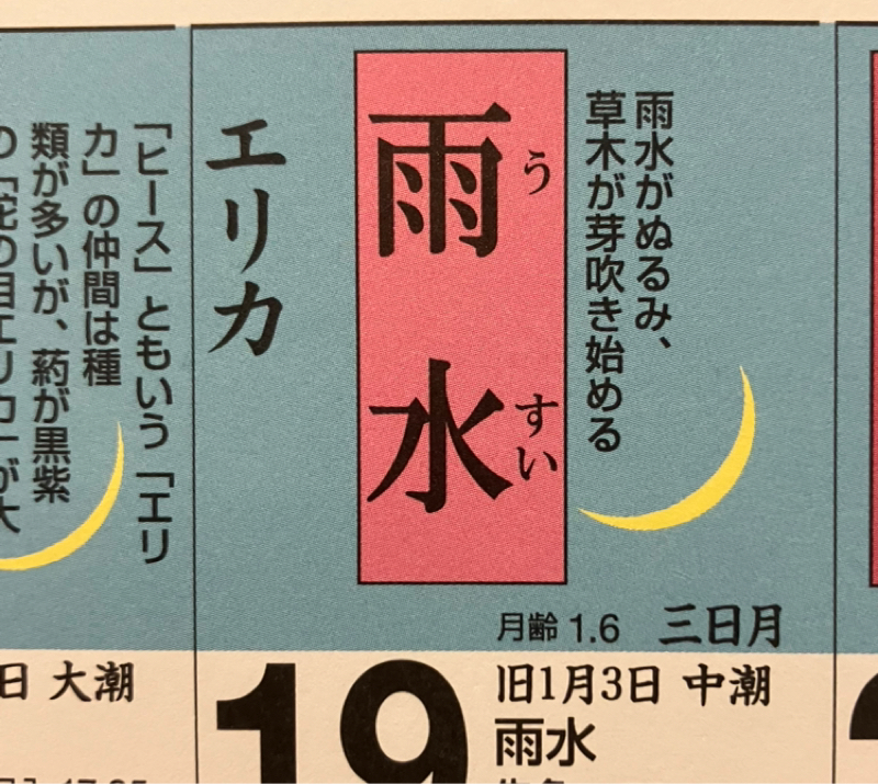 #546 ずれ込みフリカエル🐸4コマnote💡