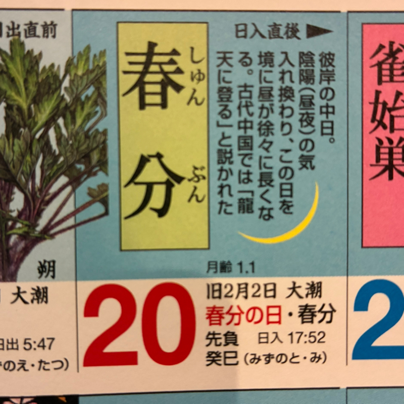 #575 1000日おめでとうございます🎊