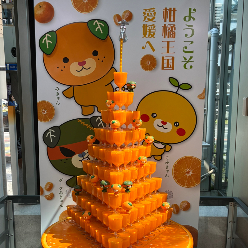 #583 みきゃんの街よりお届け🍊