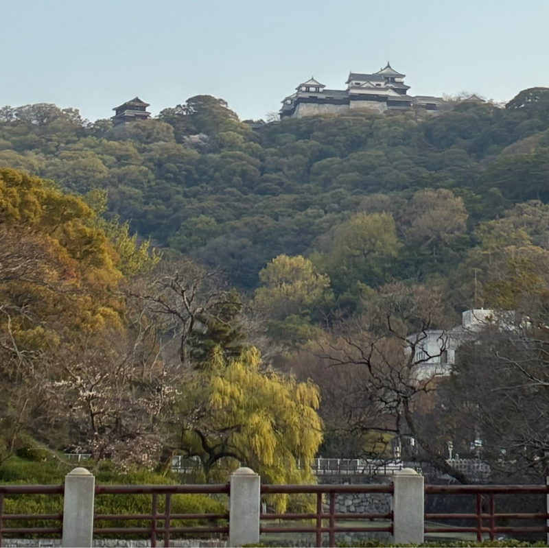 #584お城🏯を見上げ、ことばの街からお届け🍊