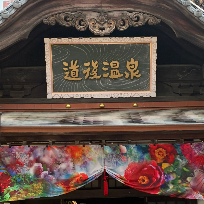 #585 ♨️⛩️🚂道後より戻ってきました🗼